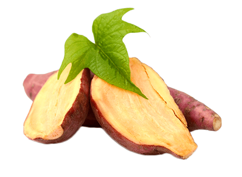 Yacon erroa Reduslim-en