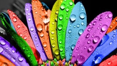 nola pisua galtzen 6 petaloen dietan